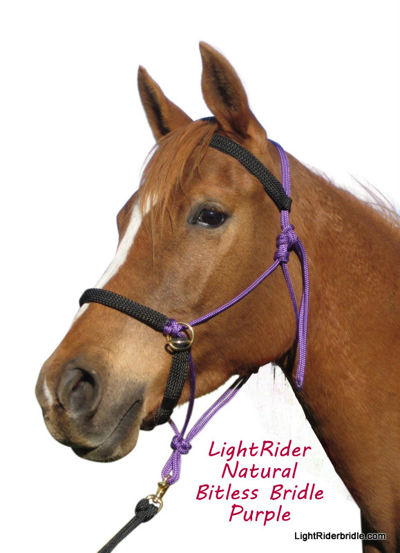 Twist Panic Snap – Natural Equine Connection